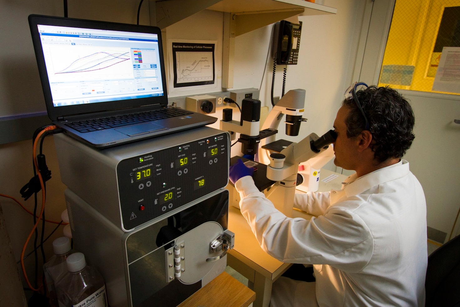 The Role Of Peptides In Modern Biotechnology